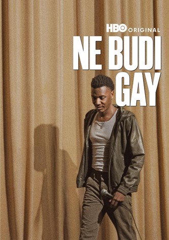 Ne budi gay
