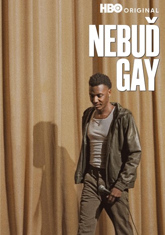 Nebuď gay