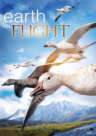 Earthflight poster