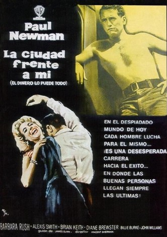 La ciudad frente a mí