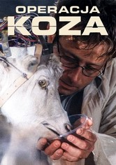Operacja Koza
