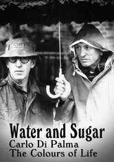 Wasser und Zucker: Carlo Di Palma, die Farben des Lebens