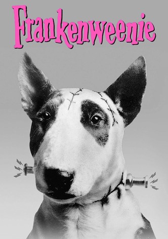 Frankenweenie