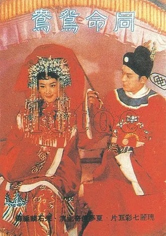 The Eternal Love