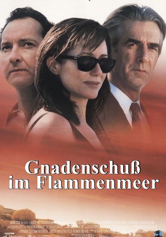 Gnadenschuß im Flammenmeer