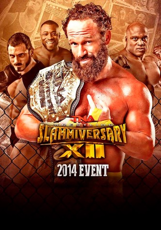 TNA Slammiversary XII
