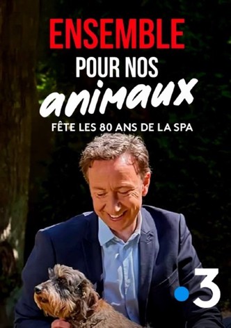 Ensemble pour nos animaux: fête les 180 ans de la SPA