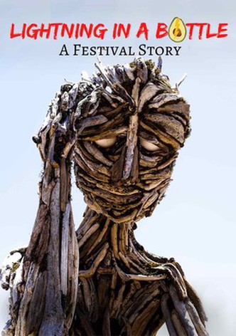 Lightning in a Bottle - A Festival Story
