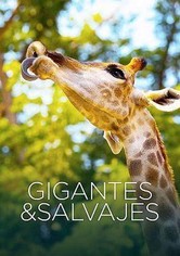 Gigantes y salvajes