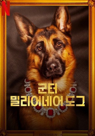 군터, 밀리어네어 도그