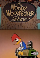 The Woody Woodpecker Show