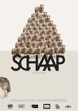 Schaap (VOST)