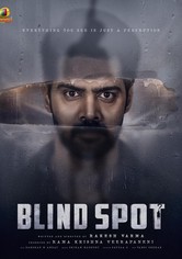Blind Spot