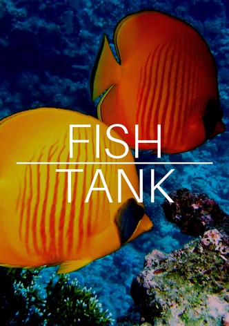 Fish Tank