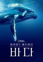 데이비드 애튼버러: 바다