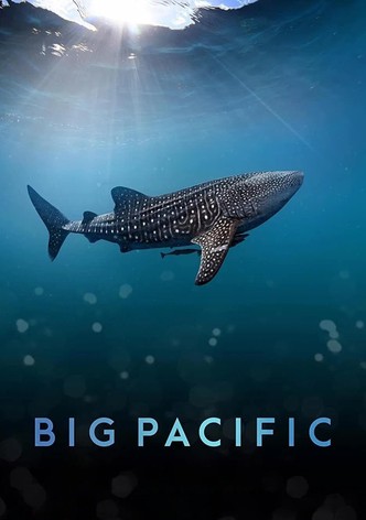Big Pacific