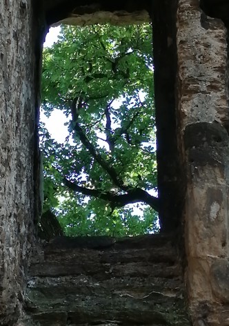 The Ruins of Seyssuel's Castle