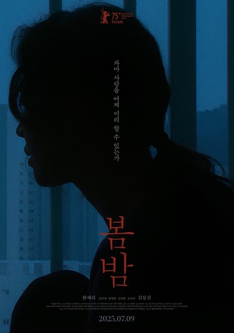 봄밤