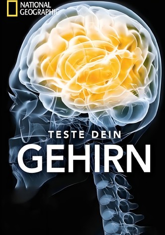 National Geographic - Teste Dein Gehirn