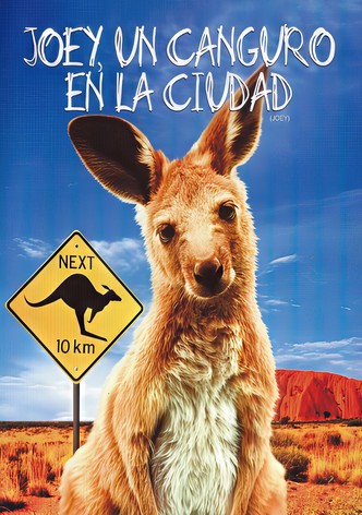 Joey, un canguro en la ciudad