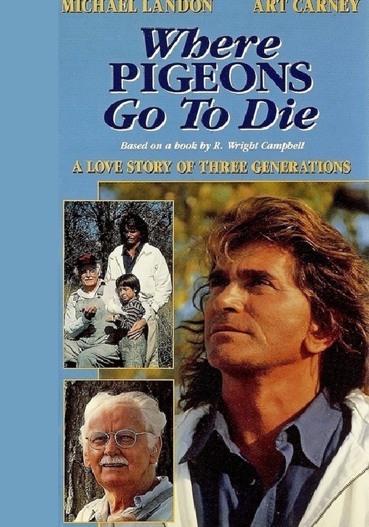 Where Pigeons Go to Die