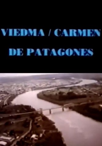 Viedma hoy