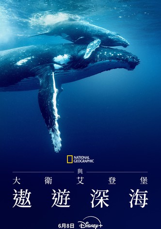 大卫·爱登堡：海洋