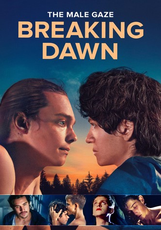 The Male Gaze: Breaking Dawn