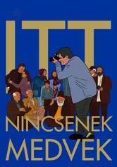 Itt nincsenek medvék