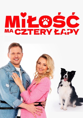 Miłość ma cztery łapy