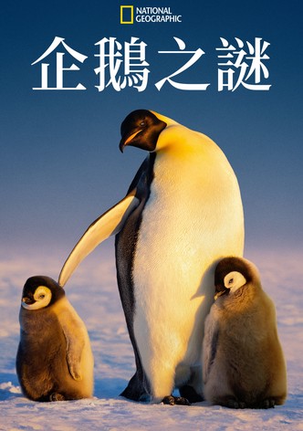 企鹅之谜