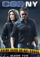 Les experts: Manhattan - CSI: New York / 05