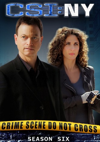 CSI: NY, Season 06