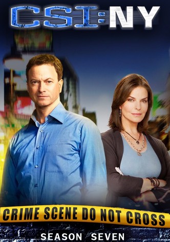 CSI: NY, Season 7