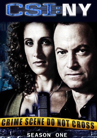CSI: Kryminalne zagadki Nowego Jorku