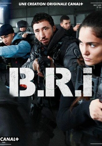 The Brigade
