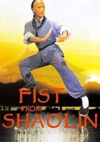 American Shaolin 2: El nuevo discípulo