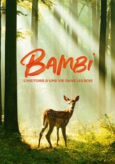 Bambi, l'histoire d'une vie dans les bois
