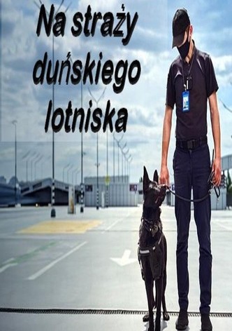 Na straży duńskiego lotniska