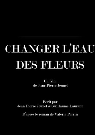 Changer l’eau des fleurs