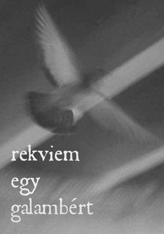 Rekviem egy galambért