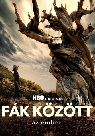 Fák között az ember