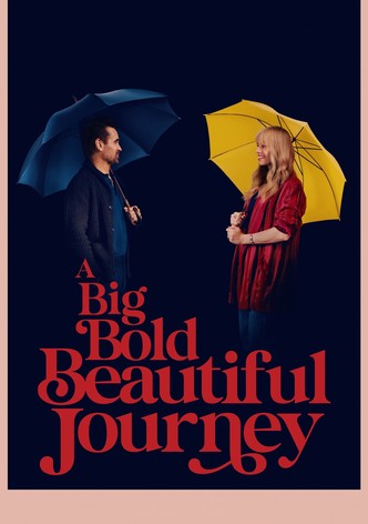 A Big Bold Beautiful Journey