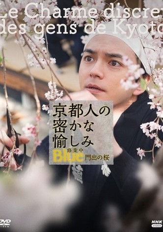 京都人の密かな愉しみBlue修業中 門出の桜