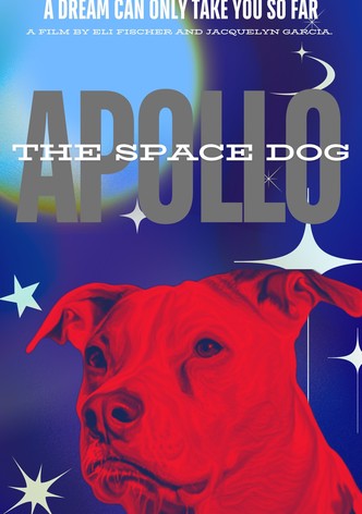 Apollo: The Space Dog