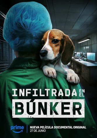 Undercover. Inside the Bunker