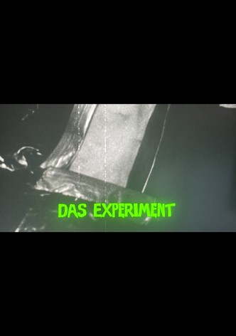 Das Experiment