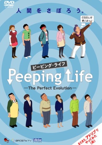 The Perfect Evolution