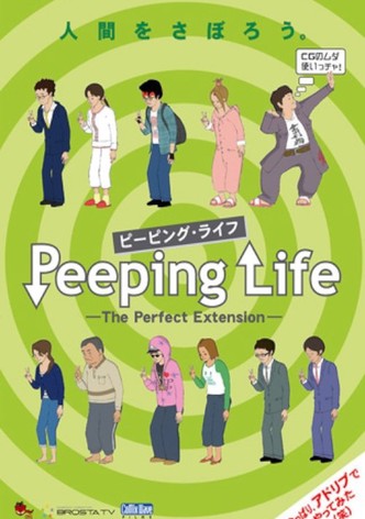 The Perfect Extension