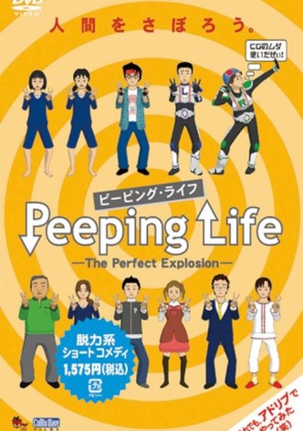 The Perfect Explosion